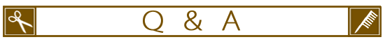 Q&A