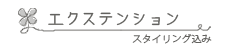 エクステンションメニュー